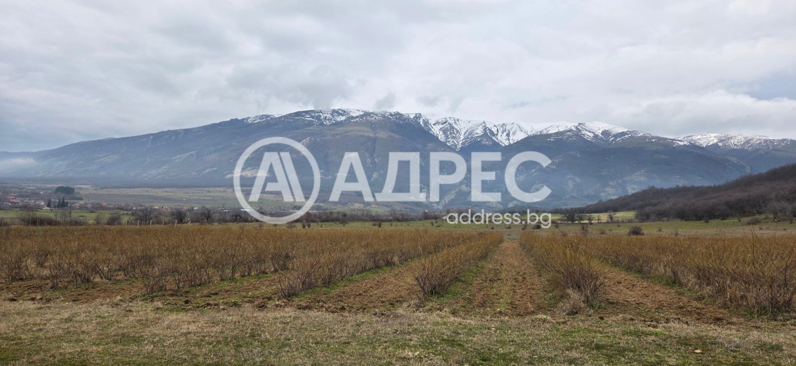 ������� ������ | Imot.bg � ����������� 3