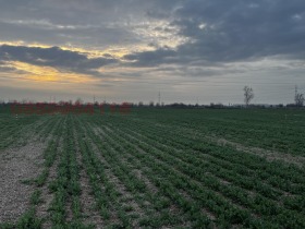 ������� ������ | Imot.bg � ����� ������ 5