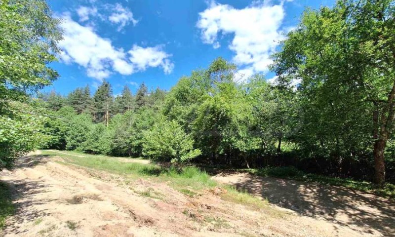 For Sale  Plot region Blagoevgrad , Bachevo , 5733 sq.m | 54455885 - image [6]