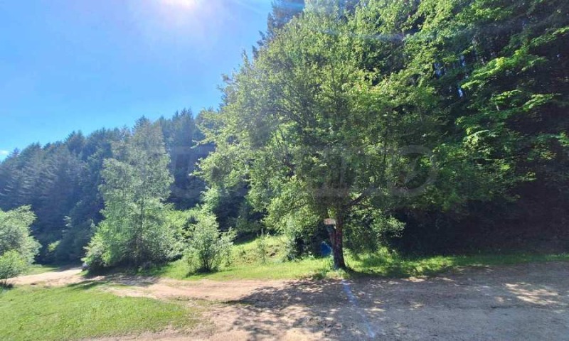 For Sale  Plot region Blagoevgrad , Bachevo , 5733 sq.m | 54455885 - image [2]