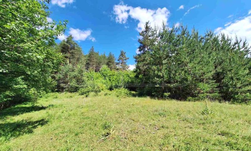 For Sale  Plot region Blagoevgrad , Bachevo , 5733 sq.m | 54455885 - image [9]