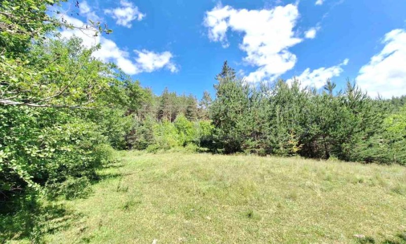For Sale  Plot region Blagoevgrad , Bachevo , 5733 sq.m | 54455885 - image [8]