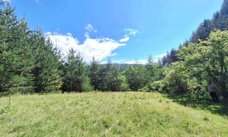 For Sale  Plot region Blagoevgrad , Bachevo , 5733 sq.m | 54455885 - image [10]