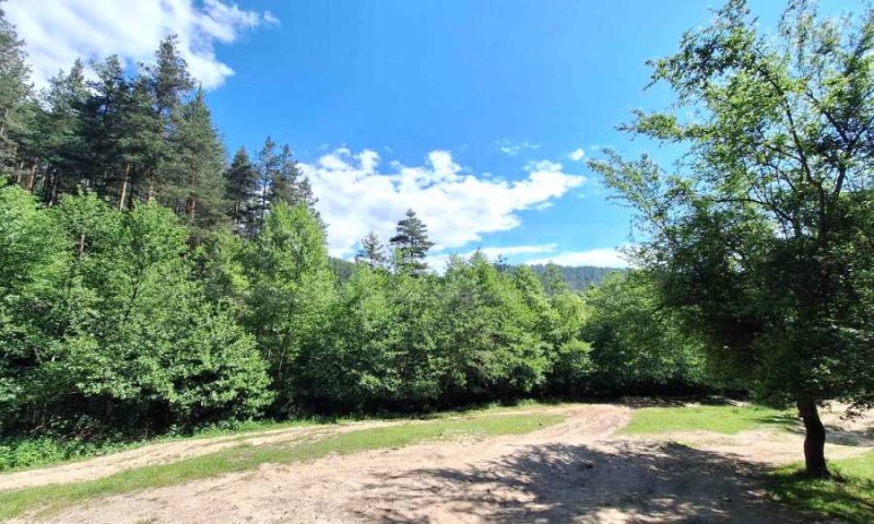 For Sale  Plot region Blagoevgrad , Bachevo , 5733 sq.m | 54455885 - image [3]