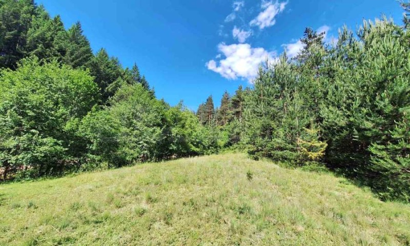 For Sale  Plot region Blagoevgrad , Bachevo , 5733 sq.m | 54455885 - image [11]