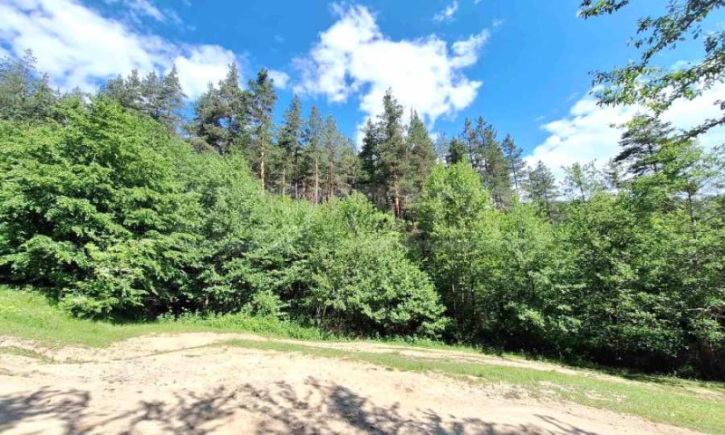 For Sale  Plot region Blagoevgrad , Bachevo , 5733 sq.m | 54455885 - image [4]