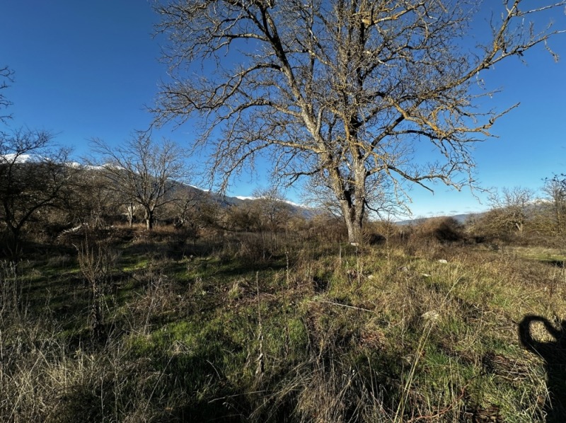 Продава ПАРЦЕЛ, гр. Банско, област Благоевград, снимка 13 - Парцели - 52637969