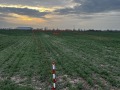 Продава  Парцел област София , гр. Елин Пелин , 4080 кв.м | 63109712 - изображение [4]