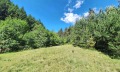 Продава ПАРЦЕЛ, област Благоевград, с. Бачево • 57330 € / 112127.73 лв. • 46981433 11