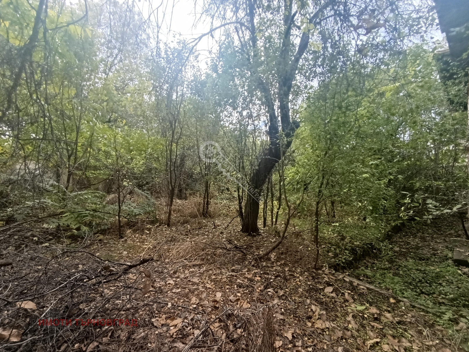 ������� ���� | Imot.bg � ����������� 11