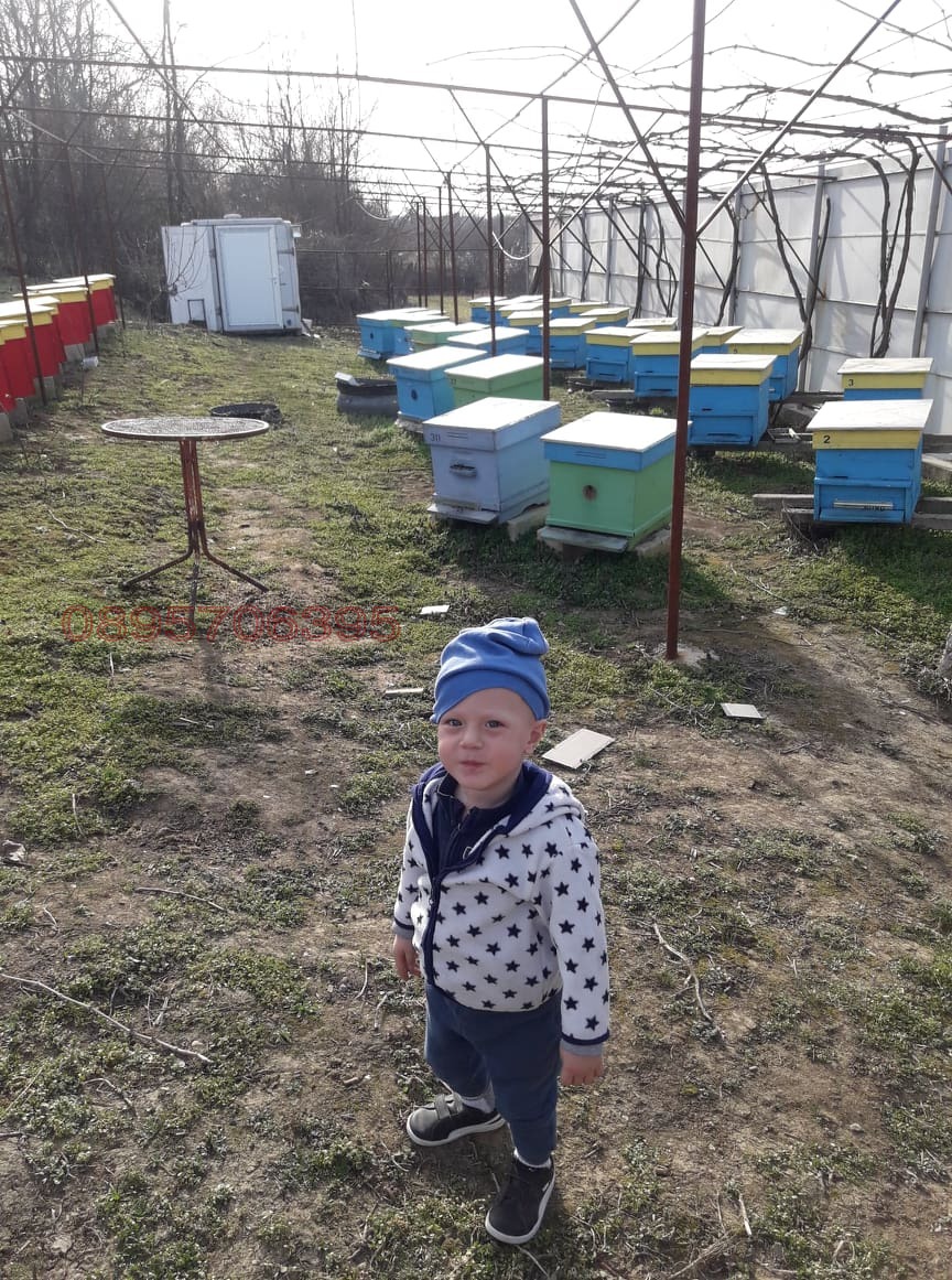 ������� ���� | Imot.bg � ����������� 2