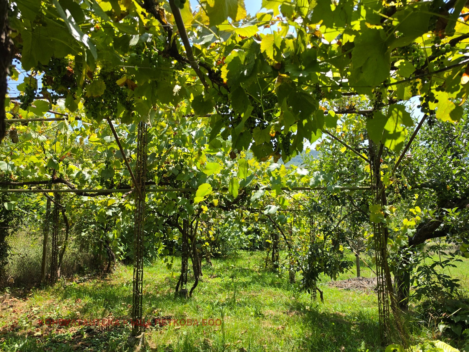 ������� ���� | Imot.bg � ����������� 17