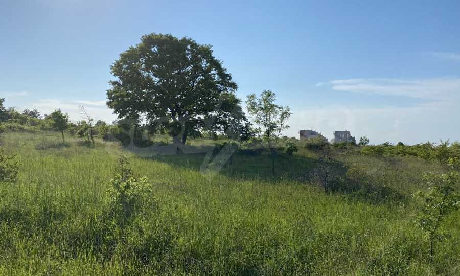 ������� ������ | Imot.bg � ����������� 11