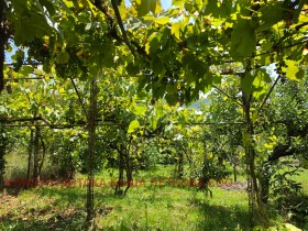 ������� ���� | Imot.bg � ����� ������ 17