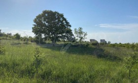 ������� ������ | Imot.bg � ����� ������ 11