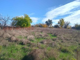 ������ ������� ������