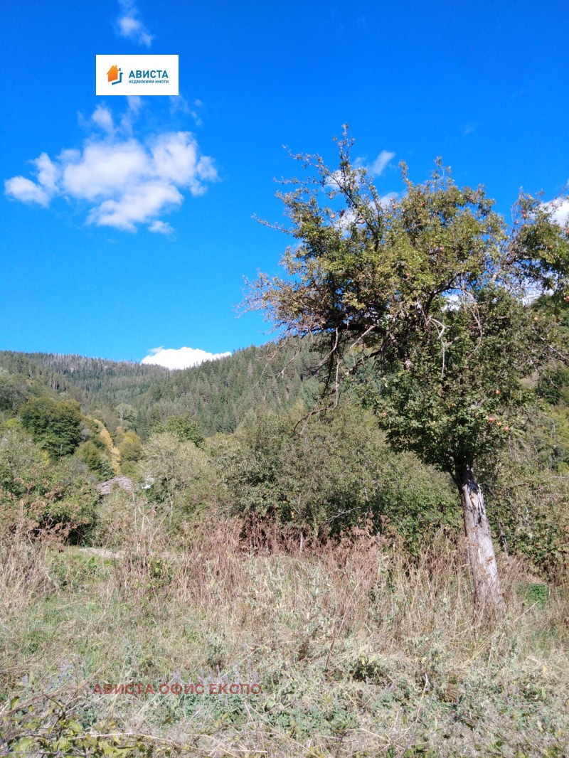 In vendita  Casa regione Smolyan , Kremene , 112 mq | 15045545 - Immagine [7]
