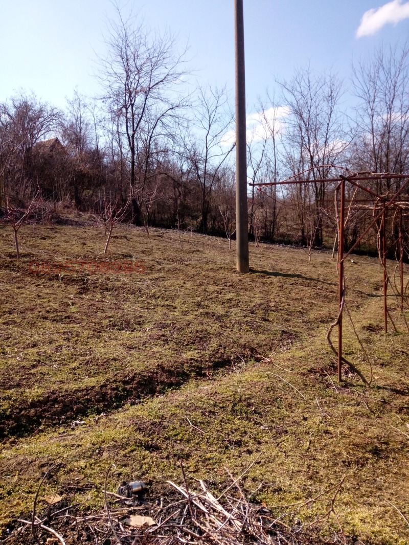 Продава КЪЩА, гр. Тутракан, област Силистра, снимка 17 - Къщи - 53162093