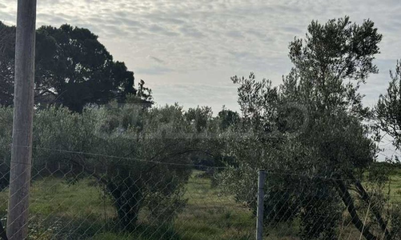 Продава ПАРЦЕЛ, Извън страната, област Извън страната, снимка 10 - Парцели - 51282905