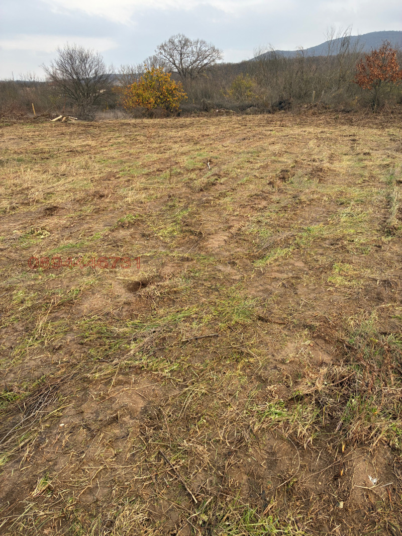 Продава ПАРЦЕЛ, с. Съединение, област Стара Загора, снимка 2 - Парцели - 53430858