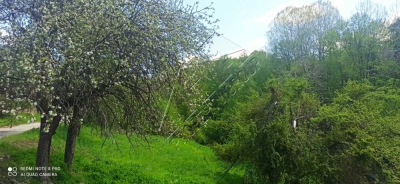 Til salgs  Hus region Gabrovo , Farevtsi , 120 kvm | 78756838 - bilde [16]