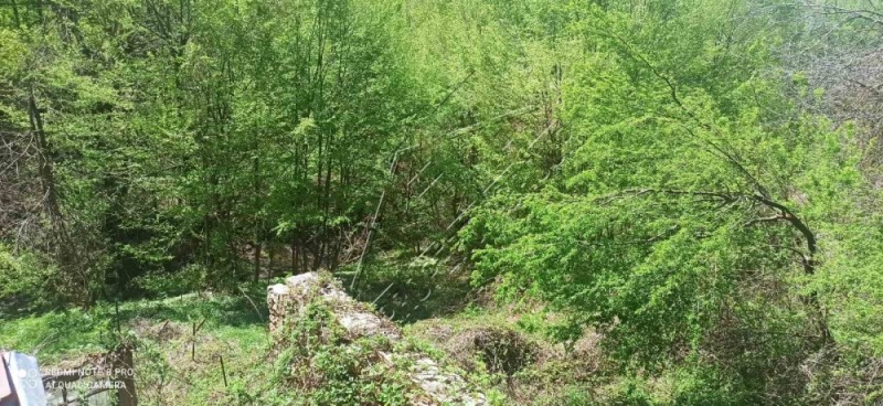 Til salgs  Hus region Gabrovo , Farevtsi , 120 kvm | 78756838 - bilde [8]