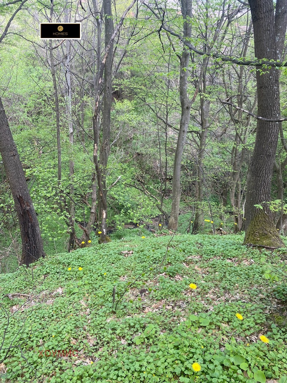 Продава ПАРЦЕЛ | Imot.bg — изображение 2