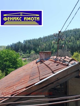 Hus Nedelkova Grashtitsa, region Kyustendil 4