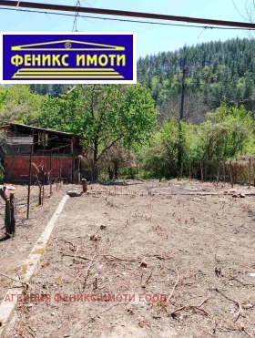 Hus Nedelkova Grashtitsa, region Kyustendil 3