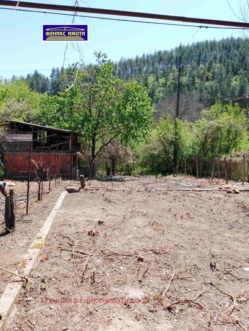 Til salg  Hus region Kyustendil , Nedelkova Grashtitsa , 100 kvm | 59565680 - billede [3]