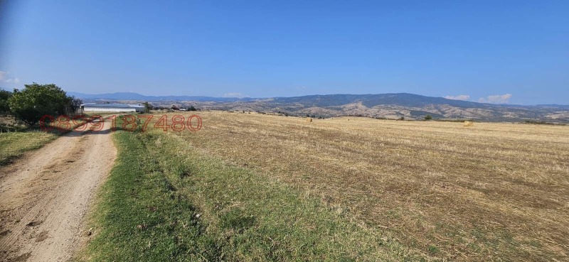 Продава ЗЕМЕДЕЛСКА ЗЕМЯ, гр. Кочериново, област Кюстендил, снимка 4 - Земеделска земя - 52781880