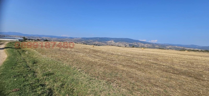 Продава ЗЕМЕДЕЛСКА ЗЕМЯ, гр. Кочериново, област Кюстендил, снимка 3 - Земеделска земя - 52781880