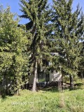 Продава КЪЩА, с. Горна Диканя, област Перник, снимка 3