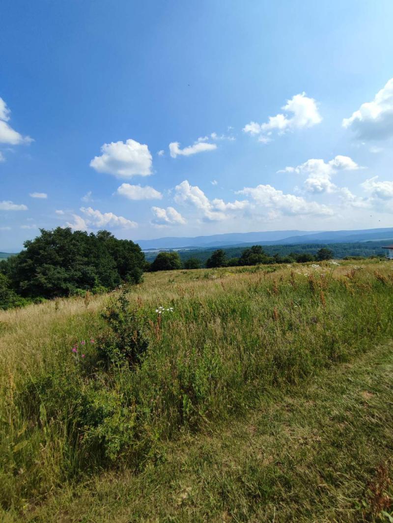 ������� ������ | Imot.bg � ����������� 3