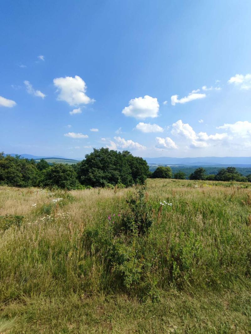 ������� ������ | Imot.bg � ����������� 4