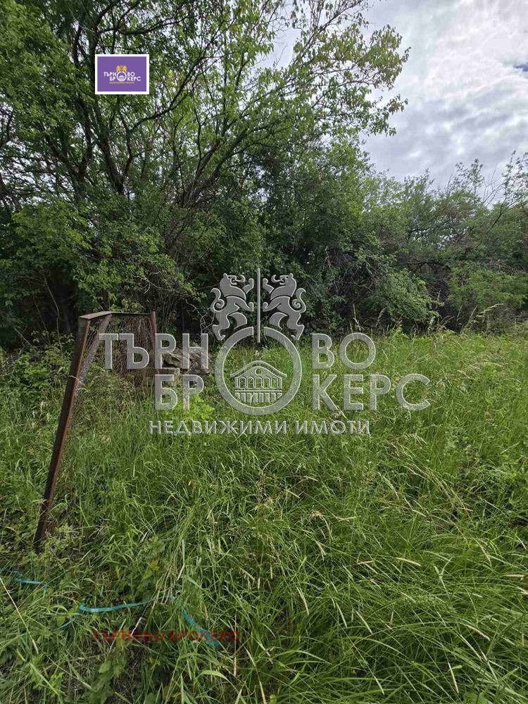 Продава ПАРЦЕЛ, с. Балван, област Велико Търново, снимка 3 - Парцели - 54747853