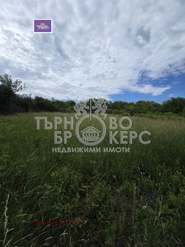 Продава ПАРЦЕЛ, с. Балван, област Велико Търново, снимка 4 - Парцели - 54747853