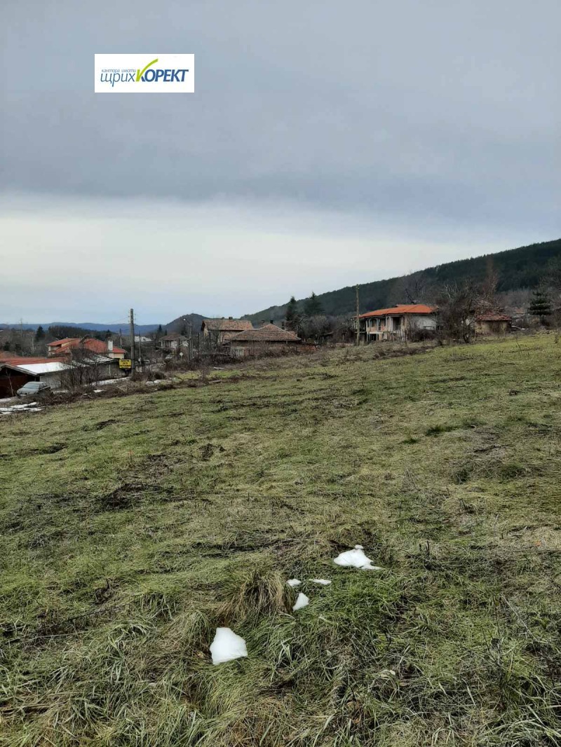 Продава ПАРЦЕЛ в област Велико Търново, с. Присово - 1130 кв.м / 65 000 € » 127 128.95 лв., ЩРИХ-КОРЕКТ ЕООД
