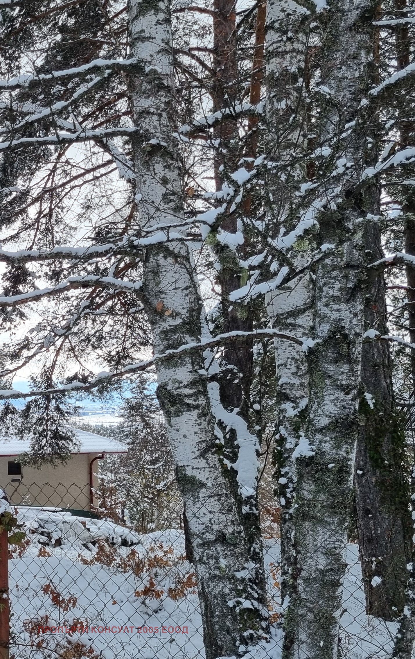 ������� ���� | Imot.bg � ����������� 4