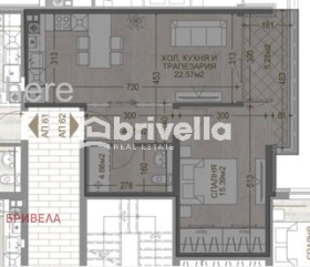 ����� ������� 2-�����,���� �����, ����������� ������