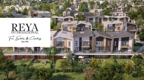 ����� ������� ����,���� �����, ���������