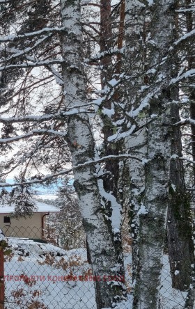 ������� ���� | Imot.bg � ����� ������ 4