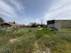 ������ ������� ������