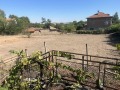 Продава КЪЩА, с. Виноградец, област Пазарджик, снимка 3
