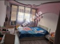 Продава 3-СТАЕН, област Велико Търново, гр. Павликени • 110000 € • 23732411 — Holmes.bg