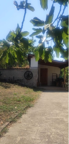 ������� ���� | Imot.bg � ����� ������ 2
