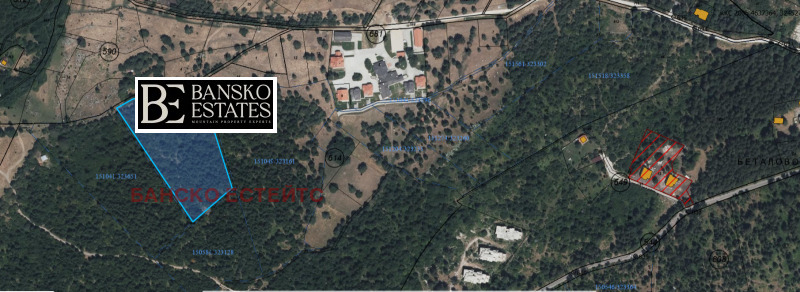 Προς πώληση  Οικόπεδο περιοχή Μπλαγκόεβγκραντ , Ραζλογ , 15575 τ.μ | 68101211 - εικόνα [6]