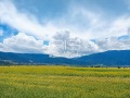 Продава  Парцел област Шумен , с. Кюлевча , 2800 кв.м | 90337356