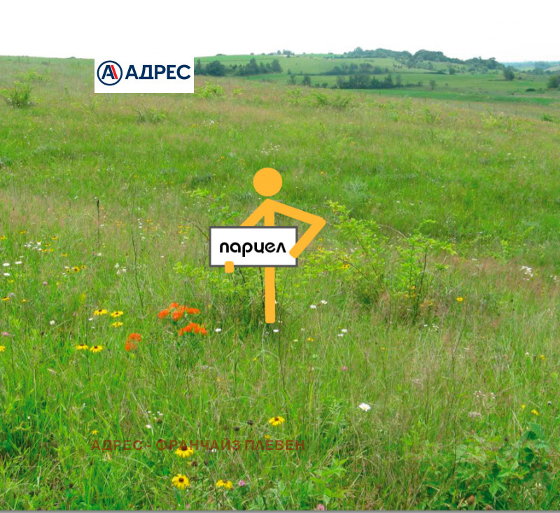 Продава ПАРЦЕЛ в град Плевен, м-т Стражата - 817 кв.м / 12 000 € » 23 469.96 лв., АДРЕС - ФРАНЧАЙЗ ПЛЕВЕН