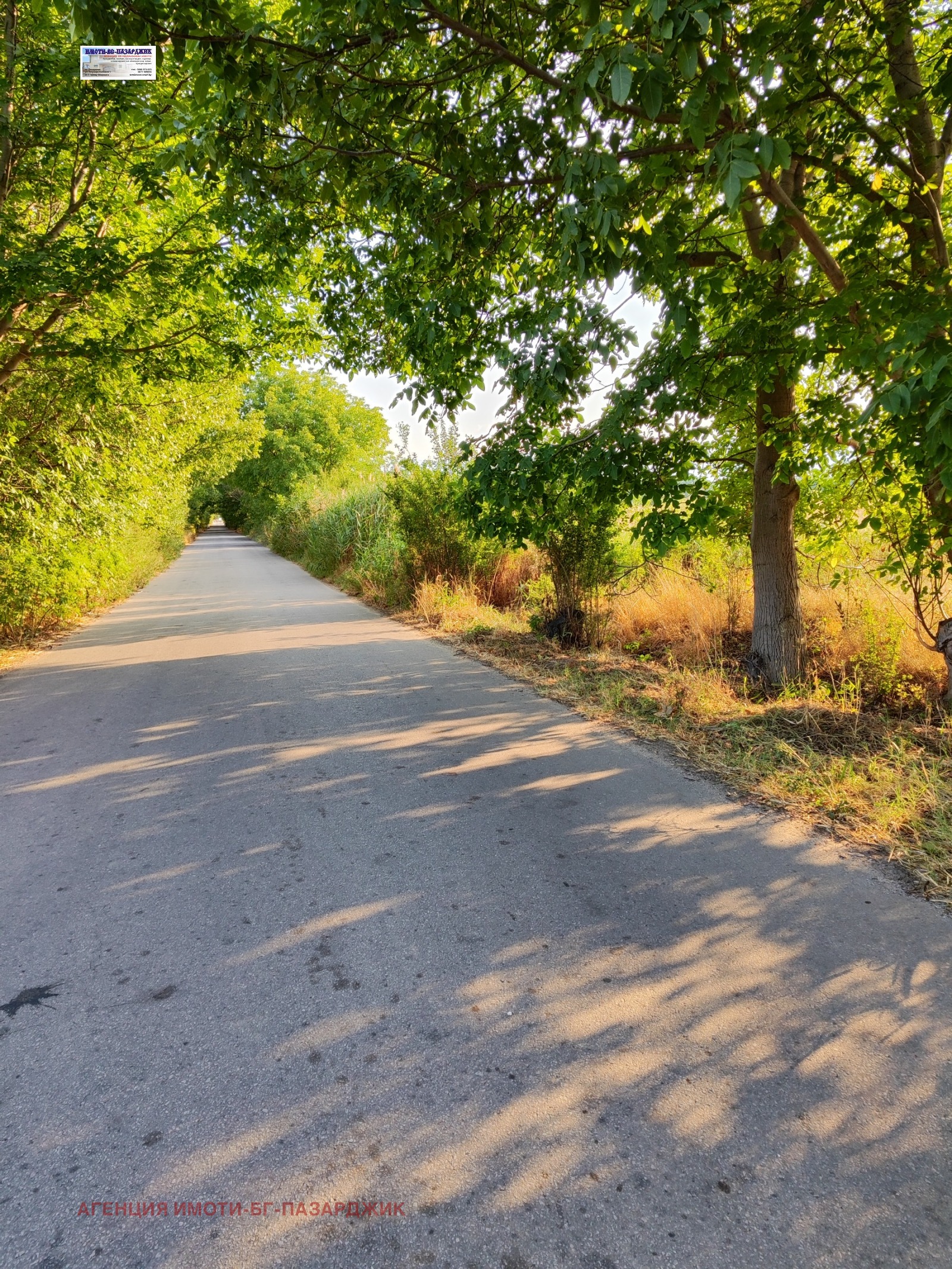 ������� ������ | Imot.bg � ����������� 1